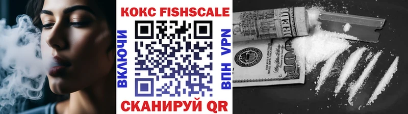 Купить где  Пенза  КОКАИН FishScale 
