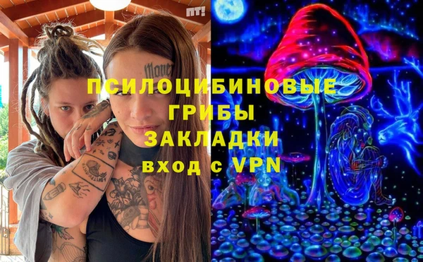 дживик Мегион