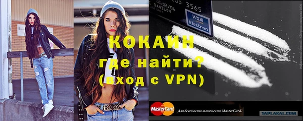 дживик Мегион