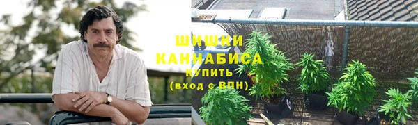 дживик Мегион